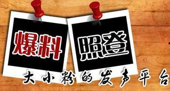 淡水新闻爆料,揭秘事件背后真相  第2张 淡水新闻爆料,揭秘事件背后真相  第2张