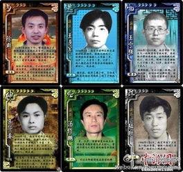 通辑令在线观看,揭秘追踪逃犯的惊心动魄之旅  第2张 通辑令在线观看,揭秘追踪逃犯的惊心动魄之旅  第2张