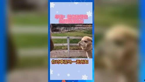 娱乐吃瓜群众分享,揭秘明星幕后故事  第2张 娱乐吃瓜群众分享,揭秘明星幕后故事  第2张
