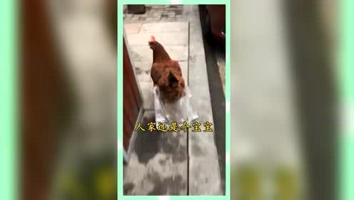 娱乐吃瓜群众分享,揭秘明星幕后故事  第3张 娱乐吃瓜群众分享,揭秘明星幕后故事  第3张