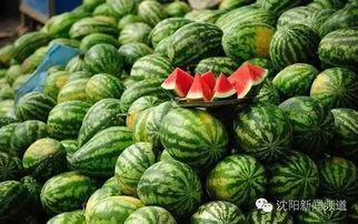 泰国西瓜最新爆料,揭秘神秘事件背后的真相  第2张 泰国西瓜最新爆料,揭秘神秘事件背后的真相  第2张