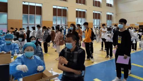 小羊事件爆料最新消息视频,视频揭露惊人内幕  第2张 小羊事件爆料最新消息视频,视频揭露惊人内幕  第2张